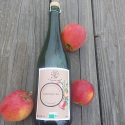 Cidre brut Bio 1L - Lot de 5